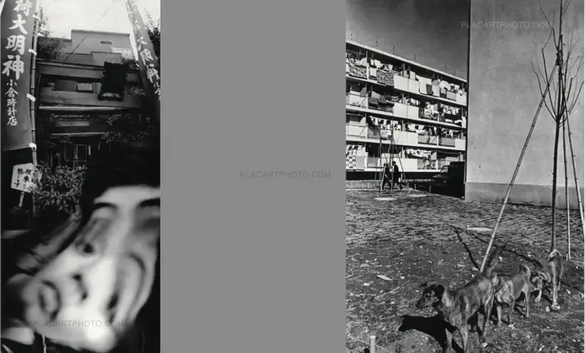 Masahisa Fukase – SPECIAL OFFER : YOKO + HOMO LUDENS (PRE-ORDER)