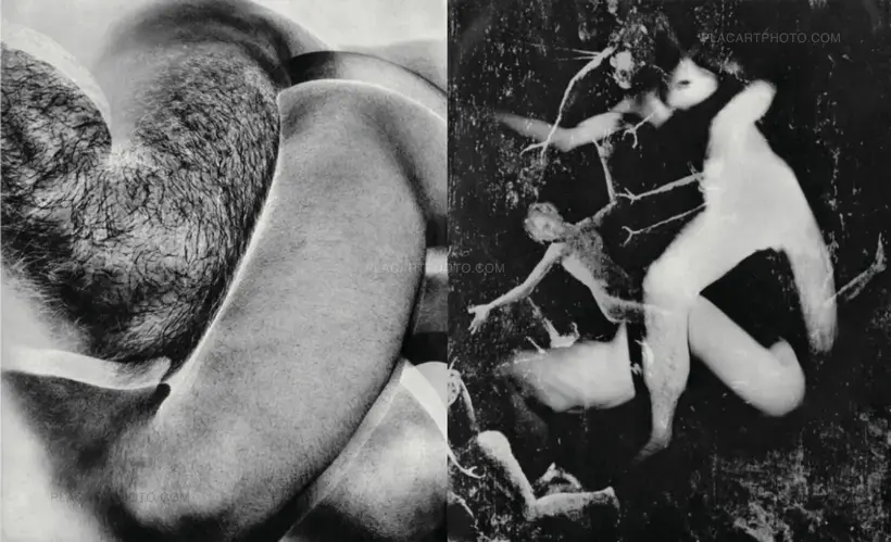 Masahisa Fukase – SPECIAL OFFER : YOKO + HOMO LUDENS (PRE-ORDER)