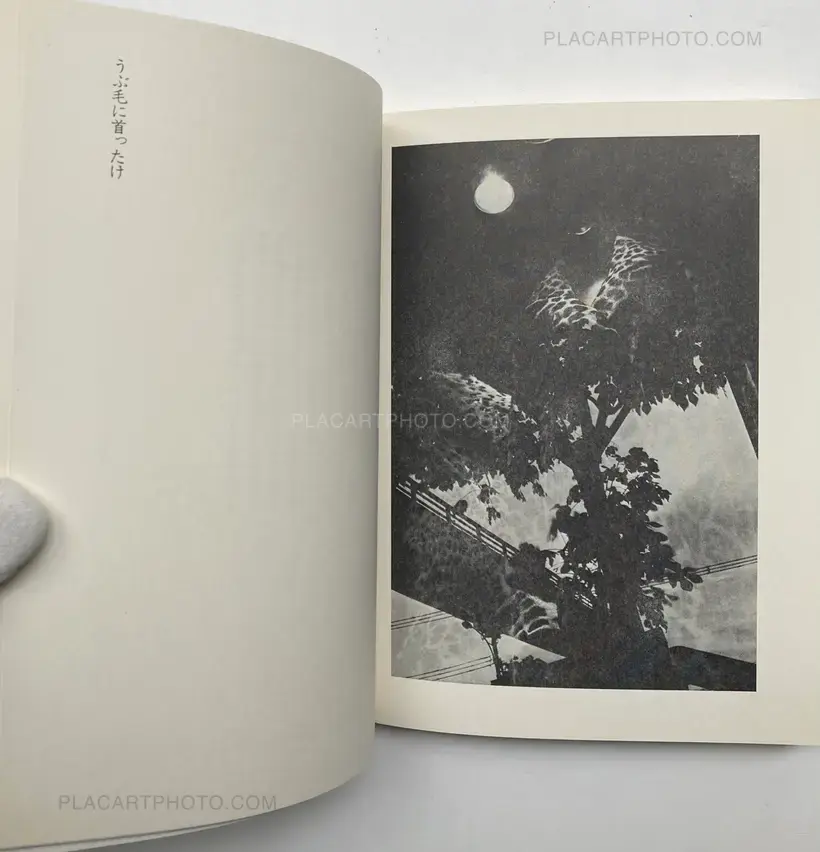 Yutaka Takanashi – Toshi Ha Yume Mizu (City Doesn't Dream)