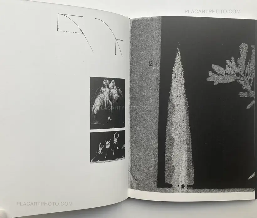 Magdalena Wysocka – Studies of falls (SIGNED, LTD EDT)