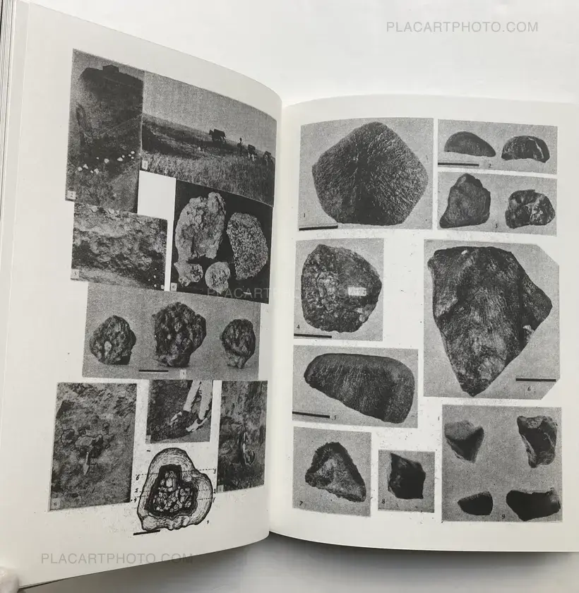 Magdalena Wysocka – Studies of falls (SIGNED, LTD EDT)