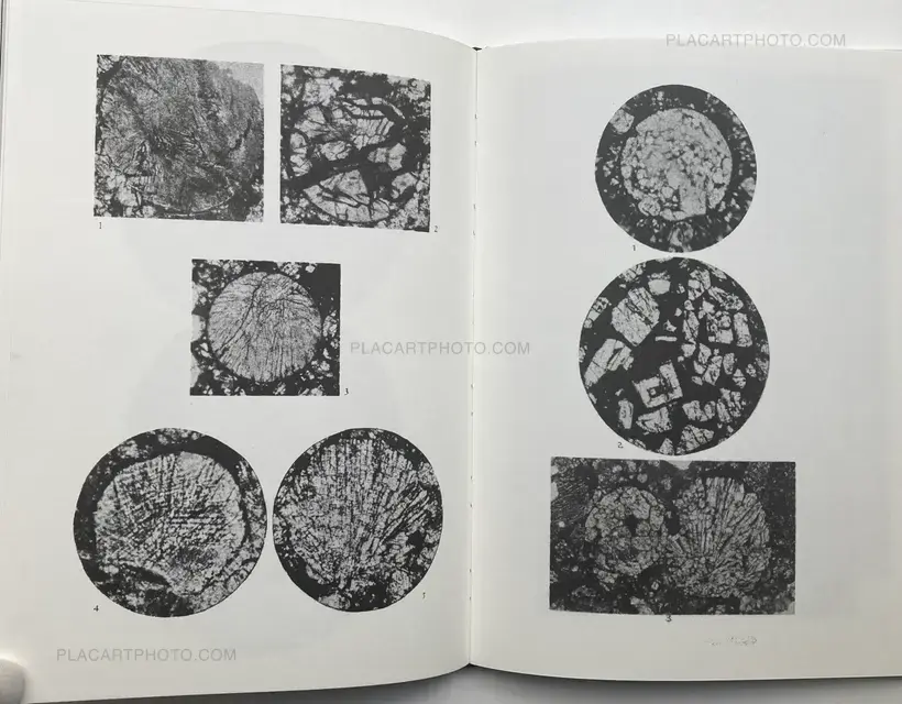 Magdalena Wysocka – Studies of falls (SIGNED, LTD EDT)
