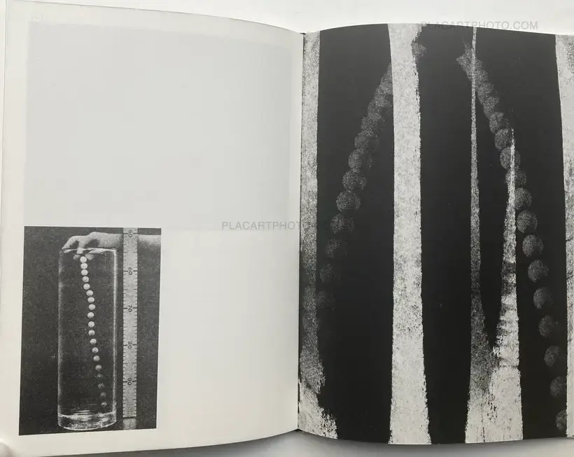 Magdalena Wysocka – Studies of falls (SIGNED, LTD EDT)