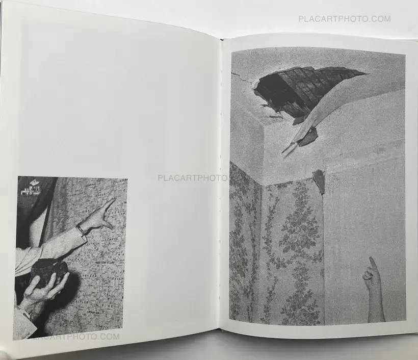 Magdalena Wysocka – Studies of falls (SIGNED, LTD EDT)