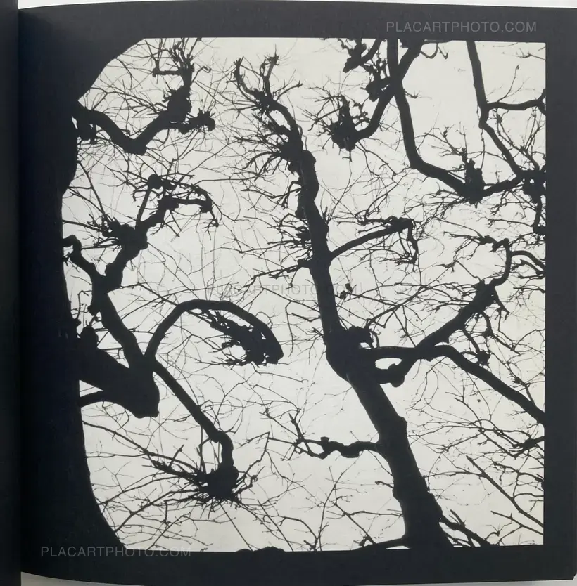 Graciela Iturbide – asor