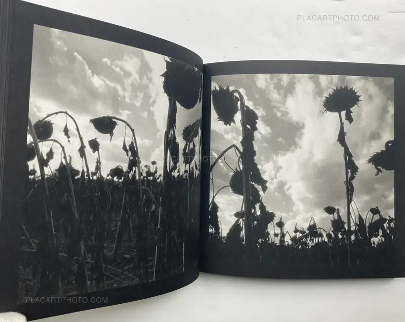 Graciela Iturbide – asor