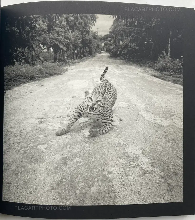 Graciela Iturbide – asor