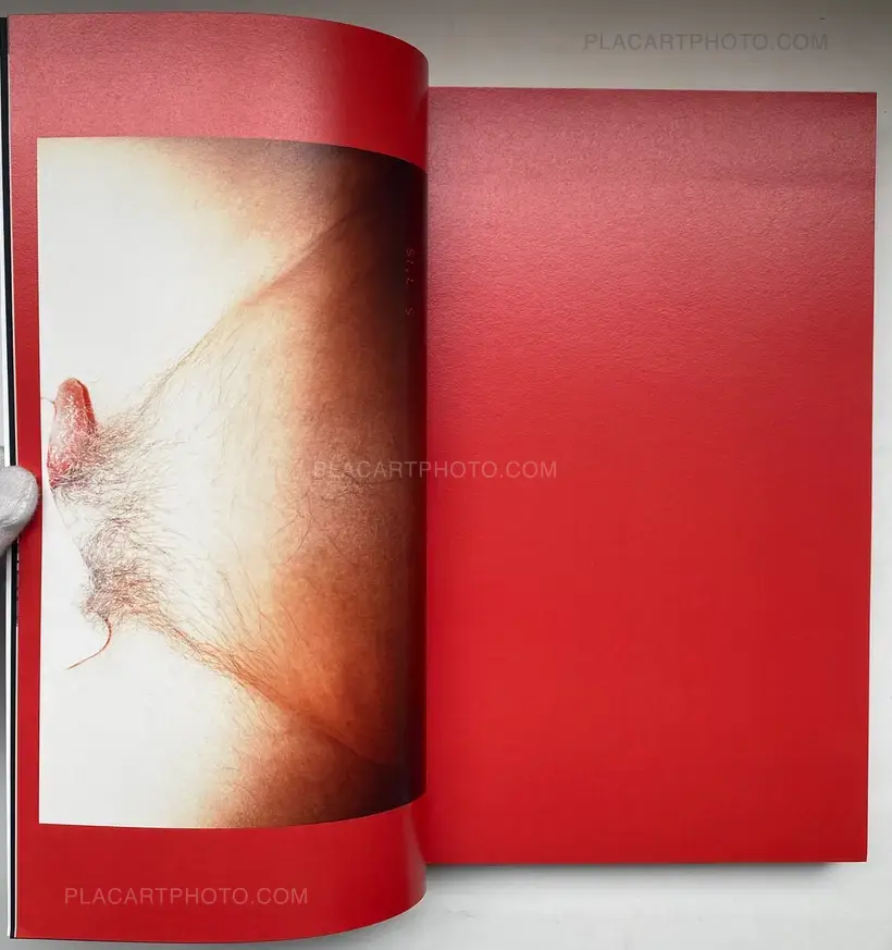 Chan Wai Kwong – Although we will never know the end of our love, she and I have always dreamed of the future (SIGNED)
