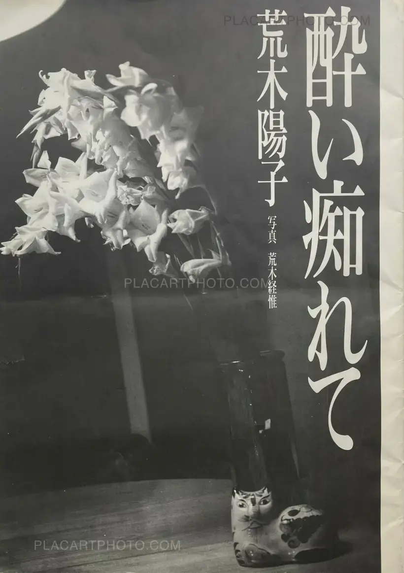 Nobuyoshi Araki – Yoishirete (In Rapture)