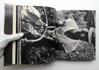 Akihide Fukushima,Roots exposed : photographs 1968-1971