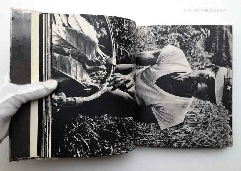 Akihide Fukushima – Roots exposed : photographs 1968-1971