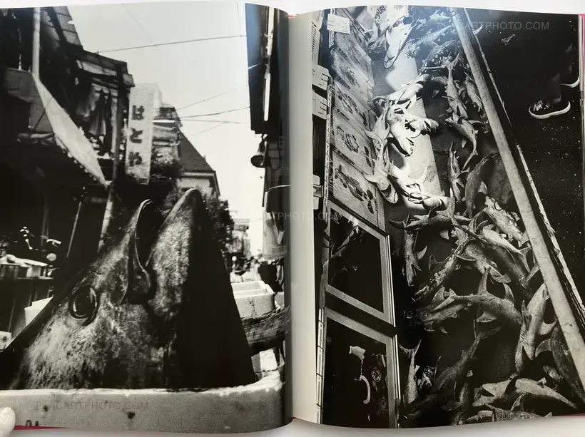 Asako Narahashi – NU.E (SIGNED)