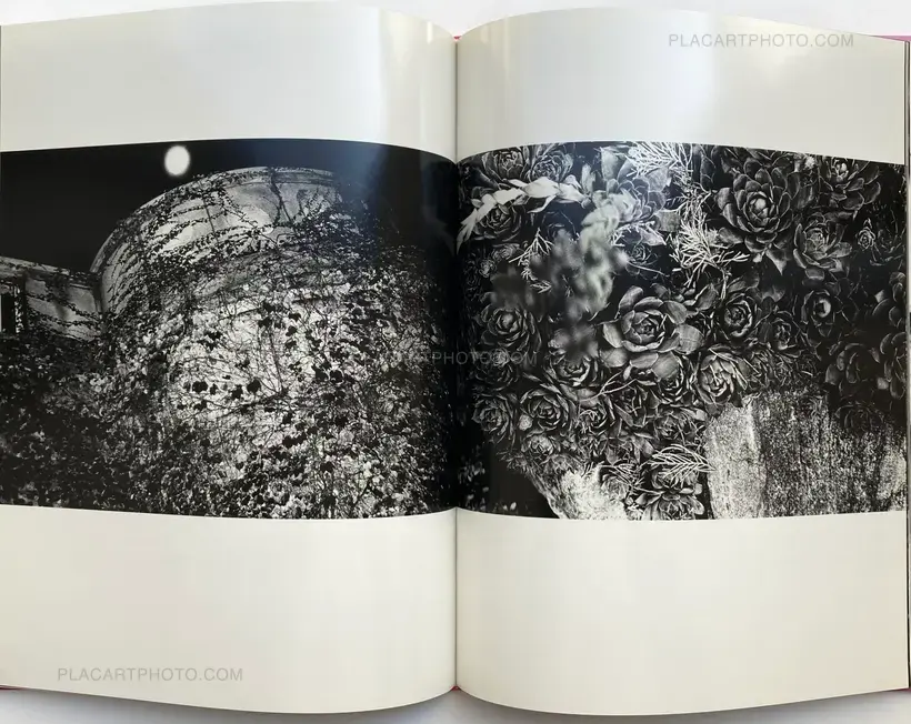 Asako Narahashi – NU.E (SIGNED)