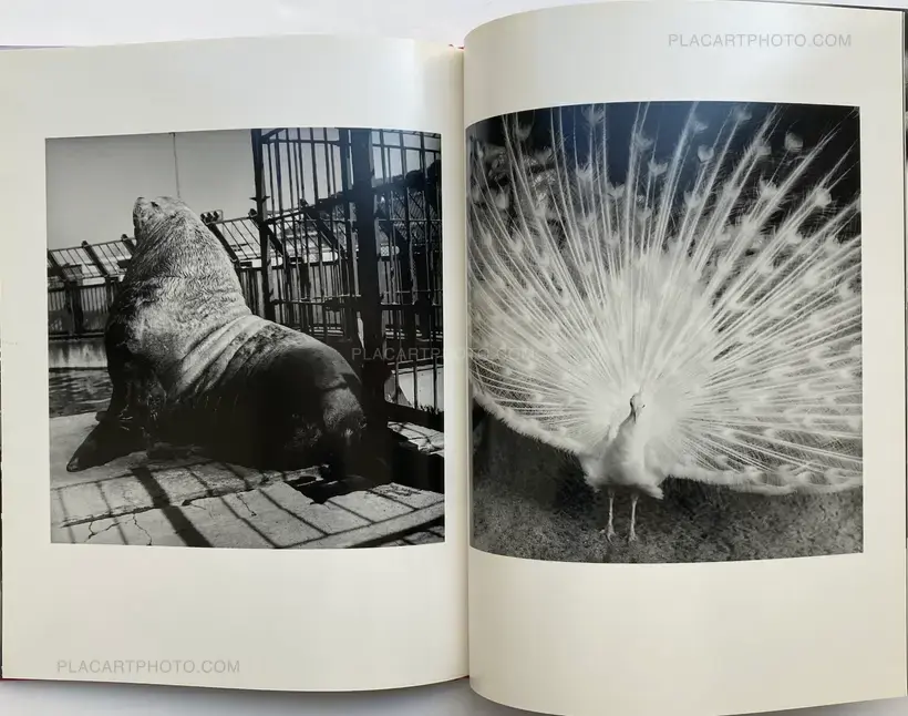 Asako Narahashi – NU.E (SIGNED)