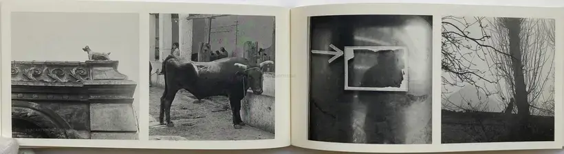Auke de Vries – AUKE DE VRIE'S FOTOS (SIGNED AND NUMBERED, LTD EDT)