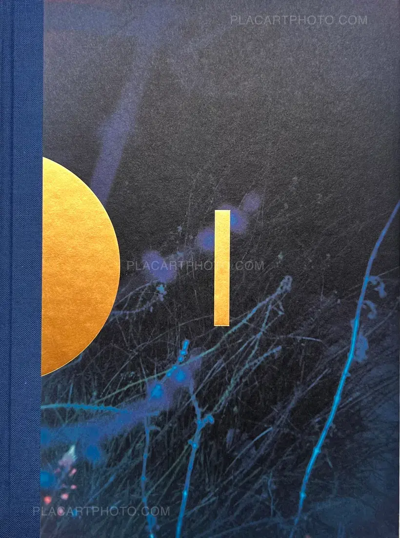 Paul Cupido – DRIFTING STONES (SIGNED)