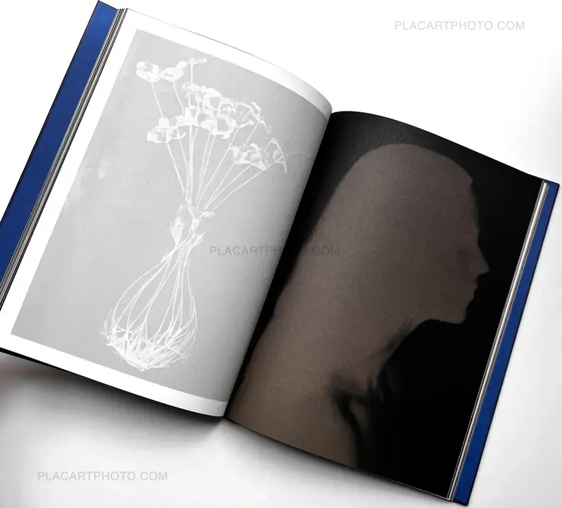 Paul Cupido – DRIFTING STONES (SIGNED)