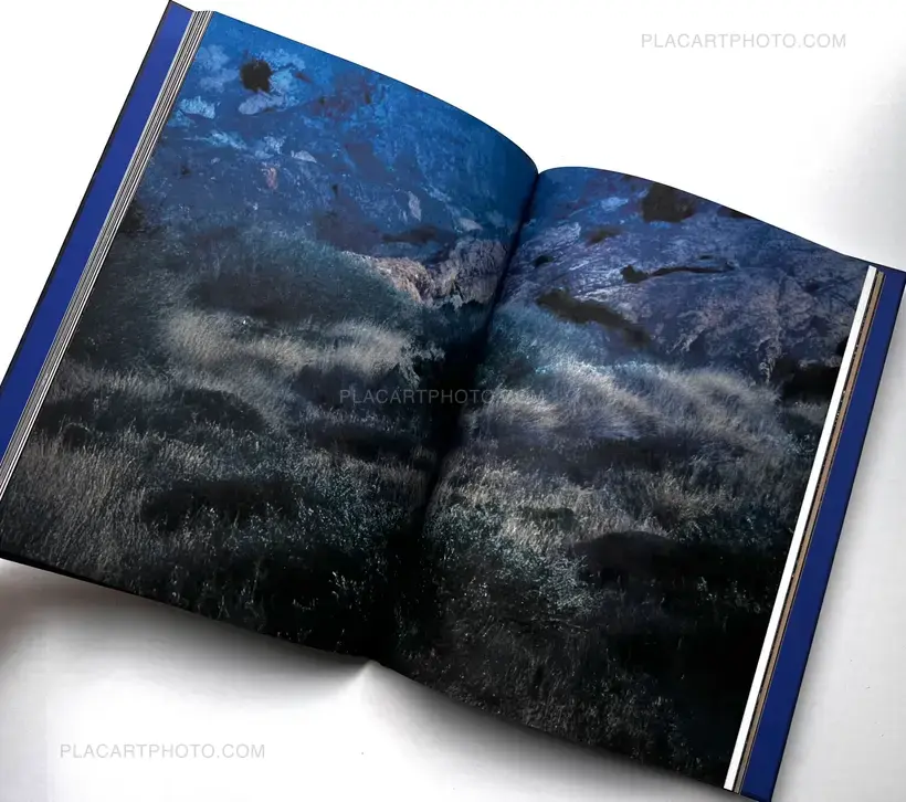 Paul Cupido – DRIFTING STONES (SIGNED)