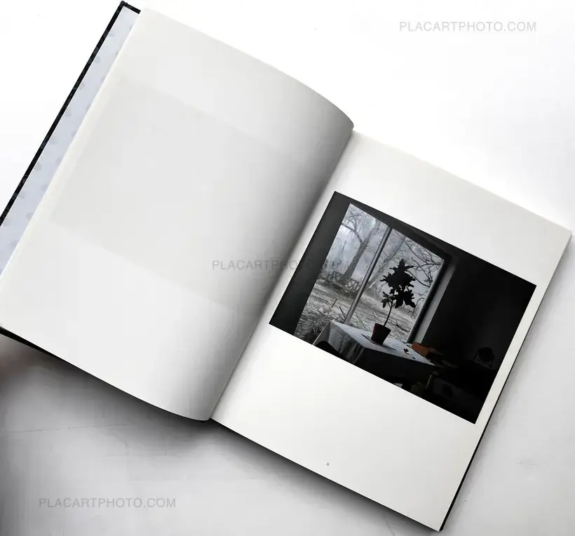 Léonie Hampton – In the Shadow of Things (Signed)