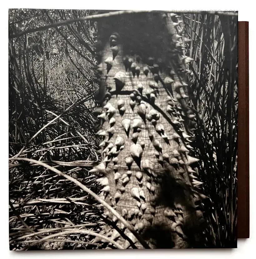Graciela Iturbide – NATURATA