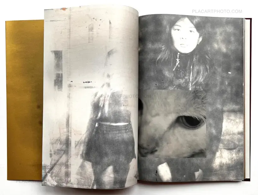 Ye Zeng Yi Li – DECEPTIONS