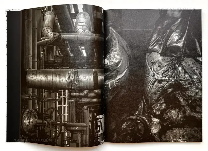 Vincent Jendly – ONE MILLIMETER OF BLACK DIRT AND A VEIL OF DEAD COWS (Signed)