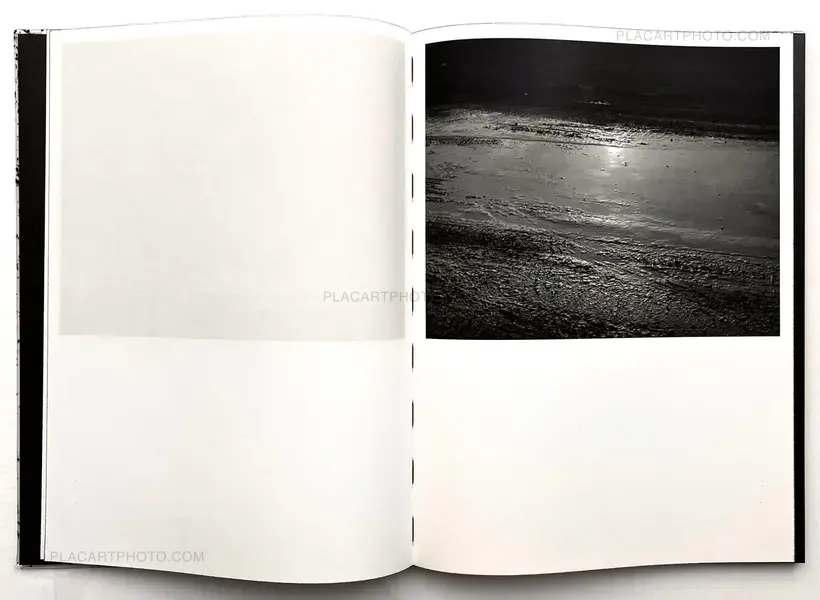 Vincent Jendly – ONE MILLIMETER OF BLACK DIRT AND A VEIL OF DEAD COWS (Signed)