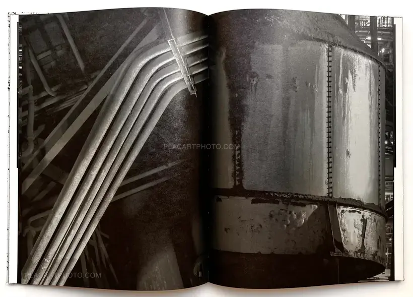 Vincent Jendly – ONE MILLIMETER OF BLACK DIRT AND A VEIL OF DEAD COWS (Signed)