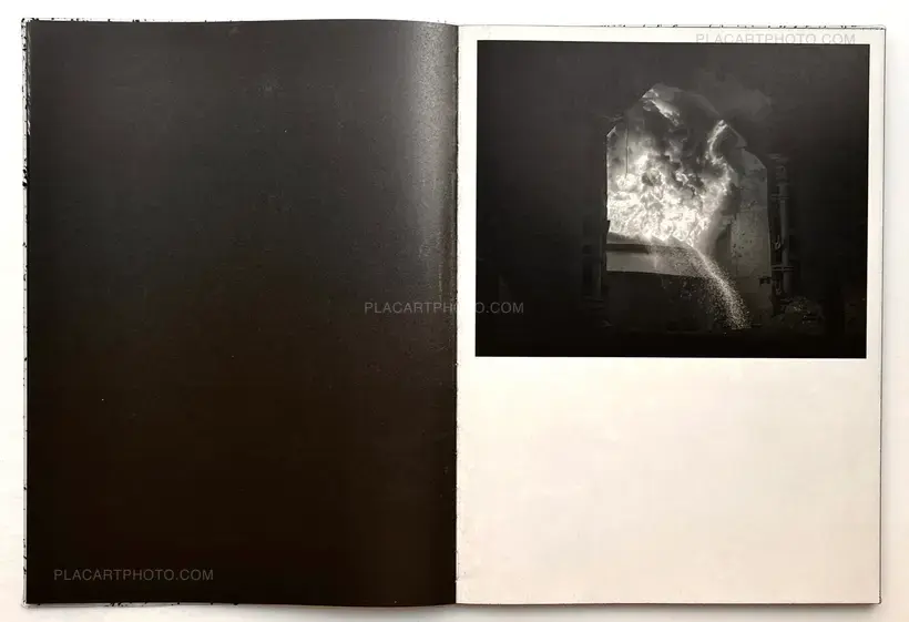 Vincent Jendly – ONE MILLIMETER OF BLACK DIRT AND A VEIL OF DEAD COWS (Signed)