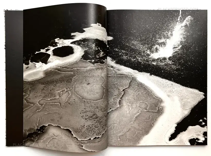 Vincent Jendly – ONE MILLIMETER OF BLACK DIRT AND A VEIL OF DEAD COWS (Signed)