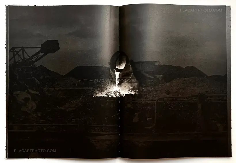 Vincent Jendly – ONE MILLIMETER OF BLACK DIRT AND A VEIL OF DEAD COWS (Signed)