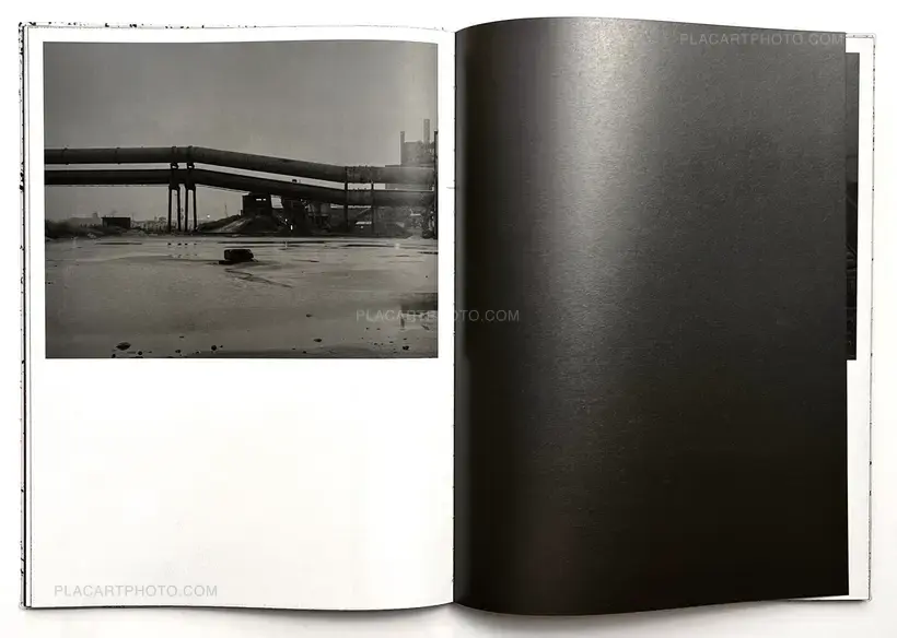 Vincent Jendly – ONE MILLIMETER OF BLACK DIRT AND A VEIL OF DEAD COWS (Signed)