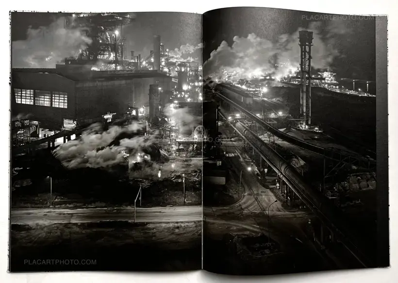 Vincent Jendly – ONE MILLIMETER OF BLACK DIRT AND A VEIL OF DEAD COWS (Signed)