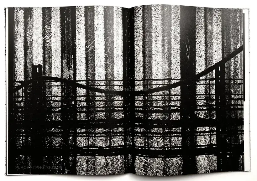 Vincent Jendly – ONE MILLIMETER OF BLACK DIRT AND A VEIL OF DEAD COWS (Signed)