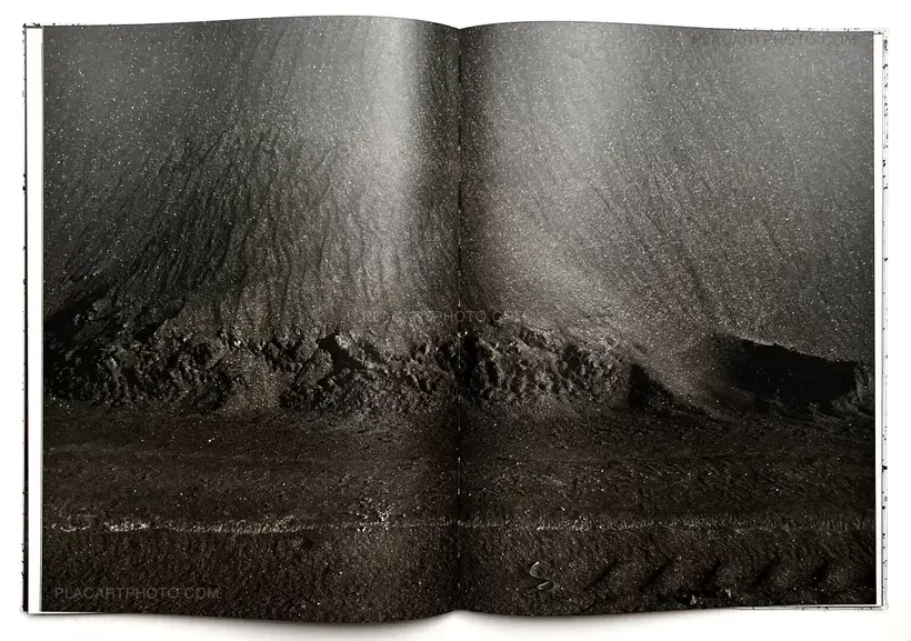 Vincent Jendly – ONE MILLIMETER OF BLACK DIRT AND A VEIL OF DEAD COWS (Signed)