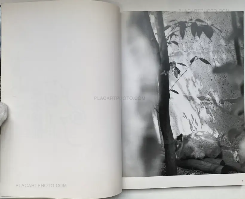 Nobuyoshi Araki – Tokyo Neko Machi (Living Cats in Tokyo) (WITH OBI)