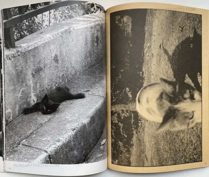 Nobuyoshi Araki – Tokyo Neko Machi (Living Cats in Tokyo) (WITH OBI)