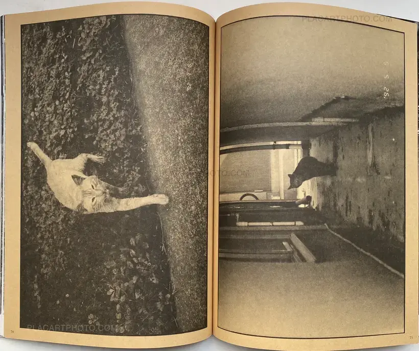 Nobuyoshi Araki – Tokyo Neko Machi (Living Cats in Tokyo) (WITH OBI)