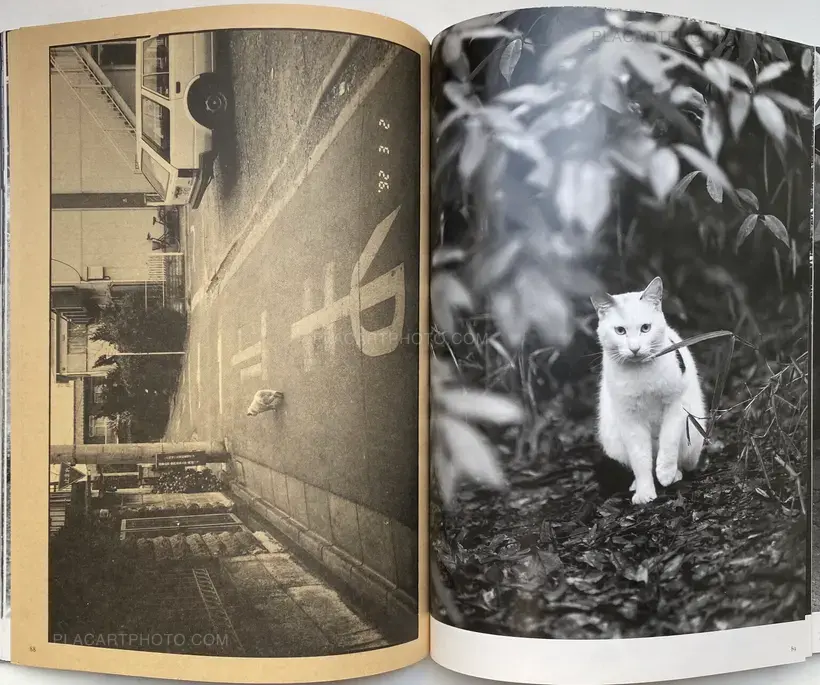 Nobuyoshi Araki – Tokyo Neko Machi (Living Cats in Tokyo) (WITH OBI)