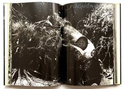 Takuma Nakahira,Aratanaru gyoushi / New Gaze