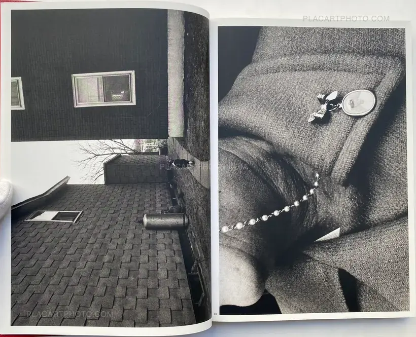 Mark Cohen – DARK KNEES