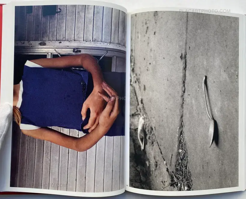 Mark Cohen – DARK KNEES