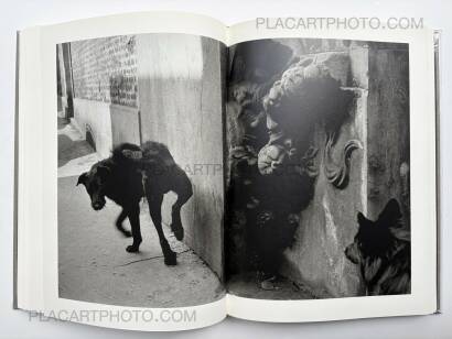 Sergio Larrain,SERGIO LARRAIN