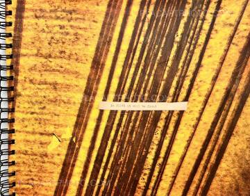 Robin Maddock,In filth it will be found (UNIQUE COPY)