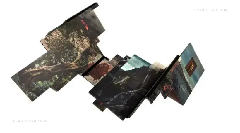 Gareth Phillips – Caligo. A photo sculpture book (EDT OF 20)
