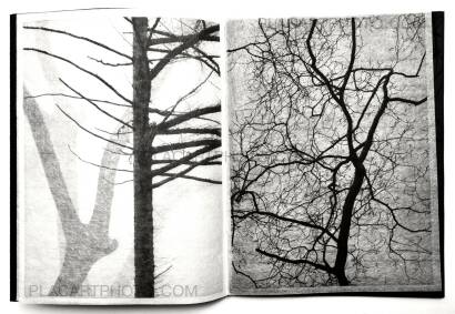 Kathleen Alisch,Conversations with trees (EDT OF 6)