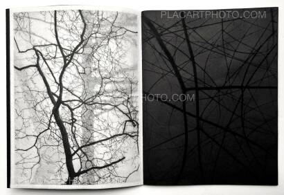 Kathleen Alisch,Conversations with trees (EDT OF 6)