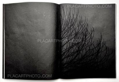 Kathleen Alisch,Conversations with trees (EDT OF 6)