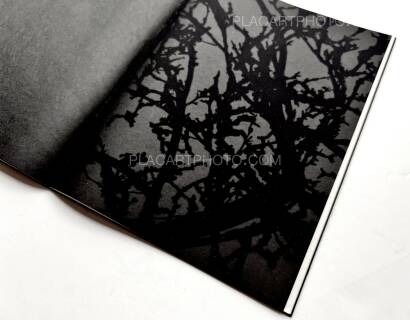 Kathleen Alisch,Conversations with trees (EDT OF 6)