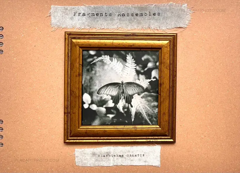 Shashinkan Gelatin – Fragments Rassembles (EDT OF 10)